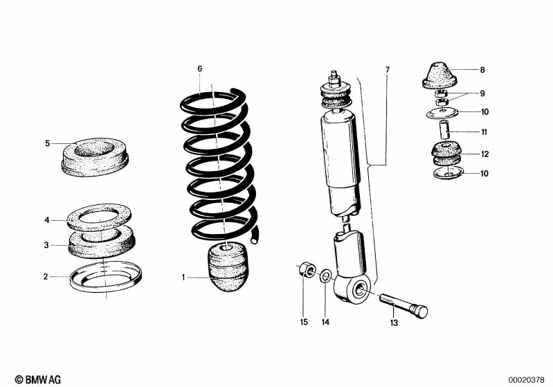 Rear coil spring
