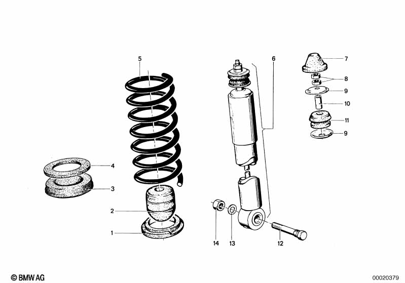 Rear coil spring