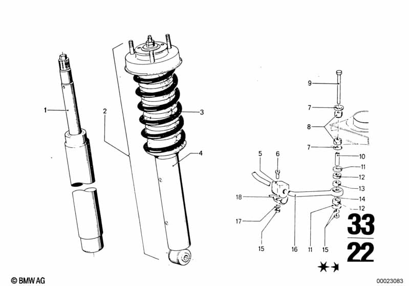 Rear spring strut, levelling device